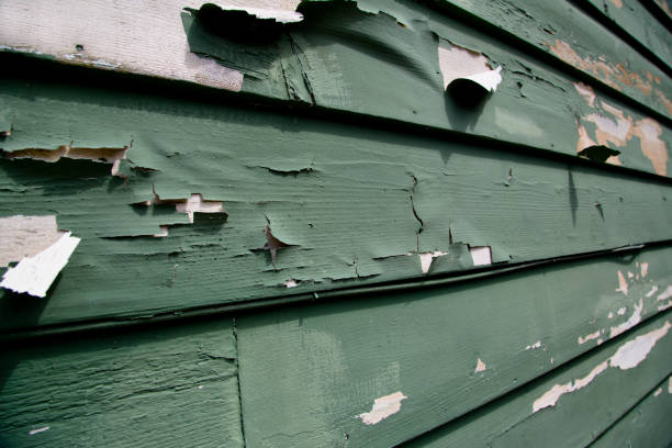Best Construction Debris Removal  in Ponder, TX